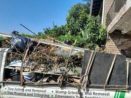 Best Residential Junk Removal  in Wood Dale, IL